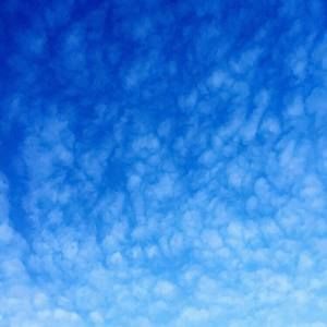 Meet your Posher, Shane